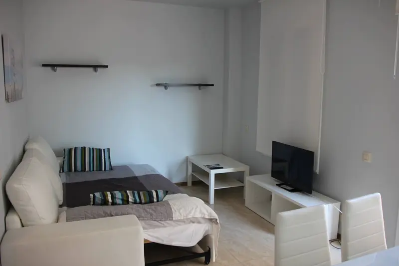 Salón del estudio de 1 dormitorio