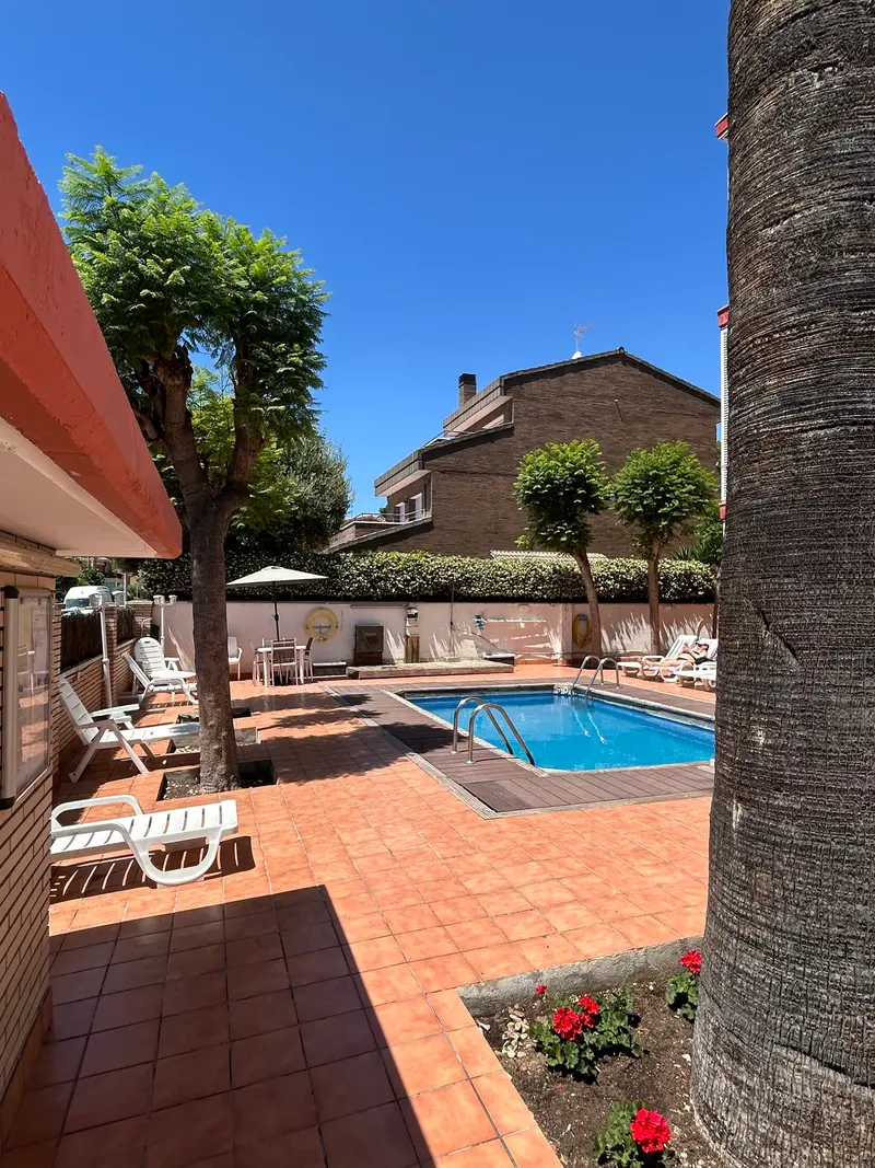Zona ajardinada junto a la piscina